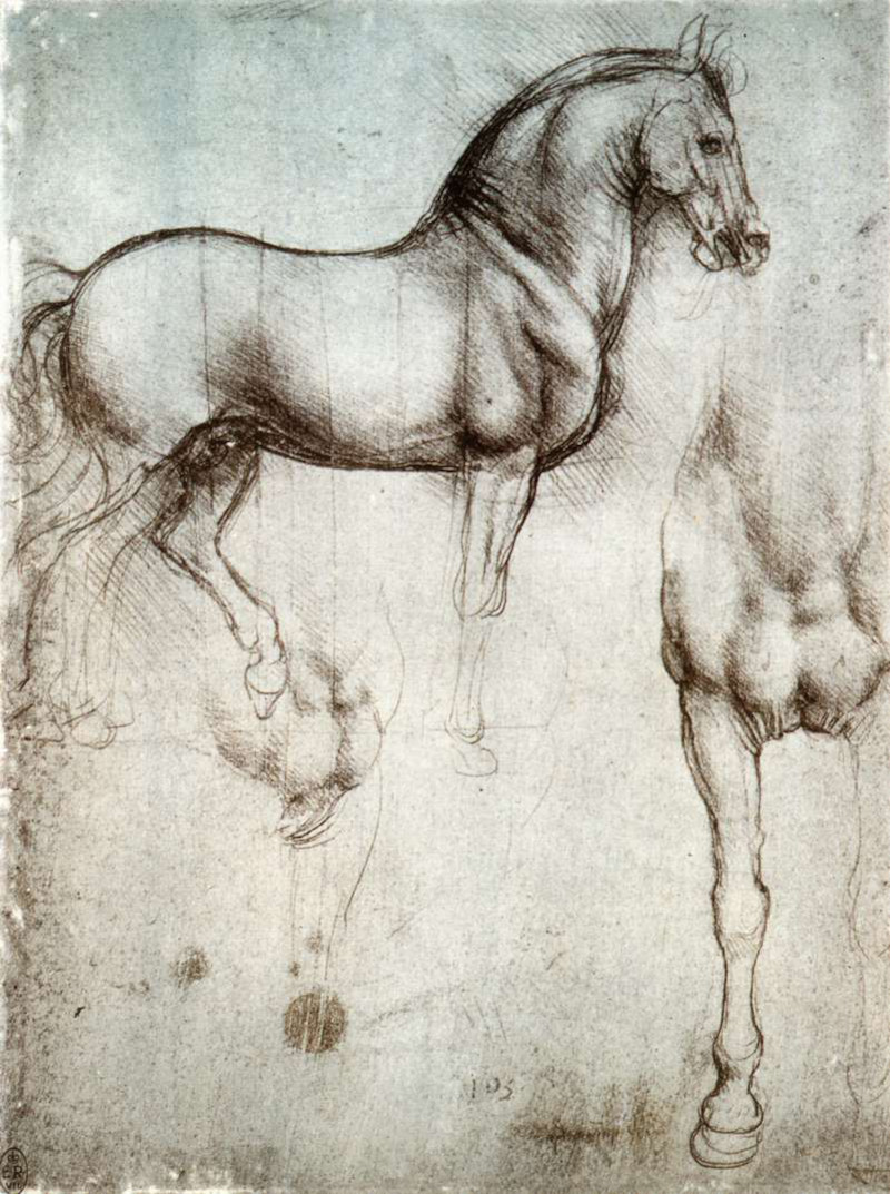 Studies of a Horse (Drawing) by Leonardo da Vinci